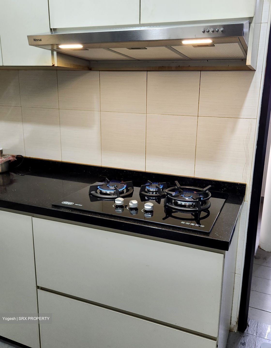 Parc Oasis (D22), Condominium #508227001